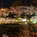 極寒のお花見@千光寺