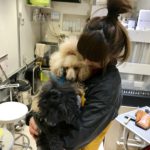 【働く人×デニム　インタビュー vol.2】大好きな犬とのお仕事